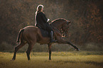 woman rides Lusitano