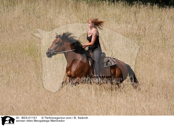 Frau reitet Mangalarga Marchador / woman rides Mangalarga Marchador / BES-01191