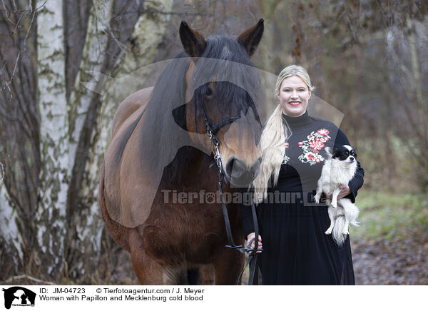 Frau mit Papillon und Mecklenburger Kaltblut / Woman with Papillon and Mecklenburg cold blood / JM-04723