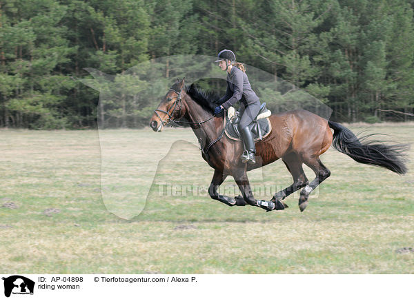Ausritt zu Pferd / riding woman / AP-04898