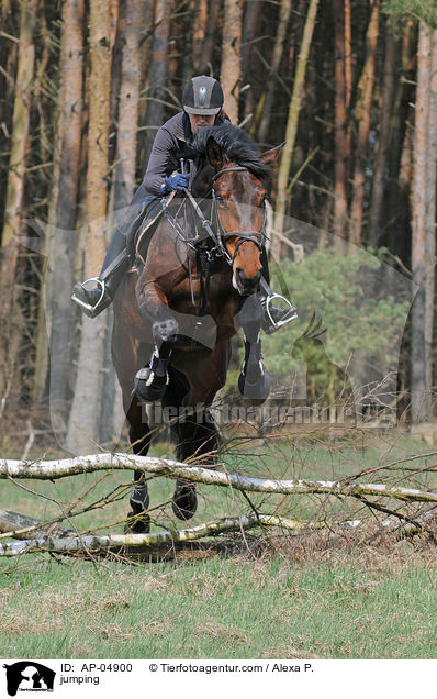 springen / jumping / AP-04900