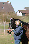 put on a halter