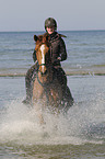 woman rides Mecklenburger horse