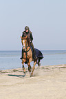 woman rides Mecklenburger horse