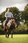 man rides Mecklenburg Warmblood