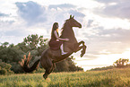 woman rides Mecklenburg Warmblood