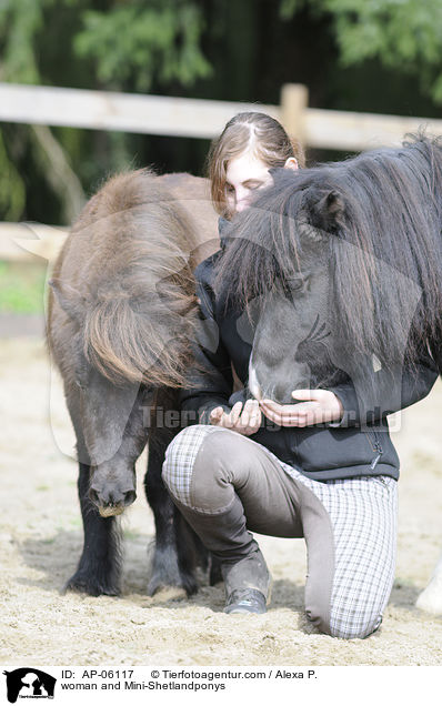 Frau mit Mini-Shetlandponys / woman and Mini-Shetlandponys / AP-06117