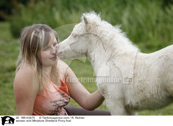 Frau und Mini Shetland Pony Fohlen / woman and Miniature Shetland Pony foal / RR-43875