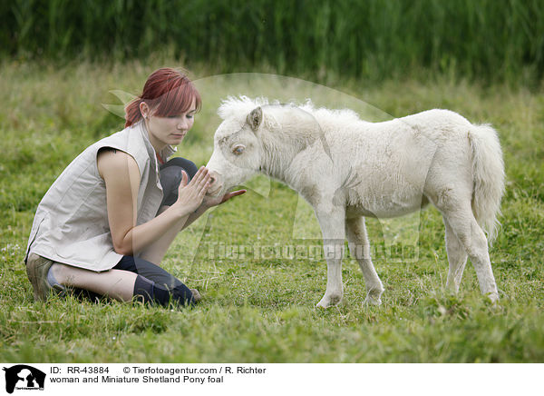 Frau und Mini Shetland Pony Fohlen / woman and Miniature Shetland Pony foal / RR-43884