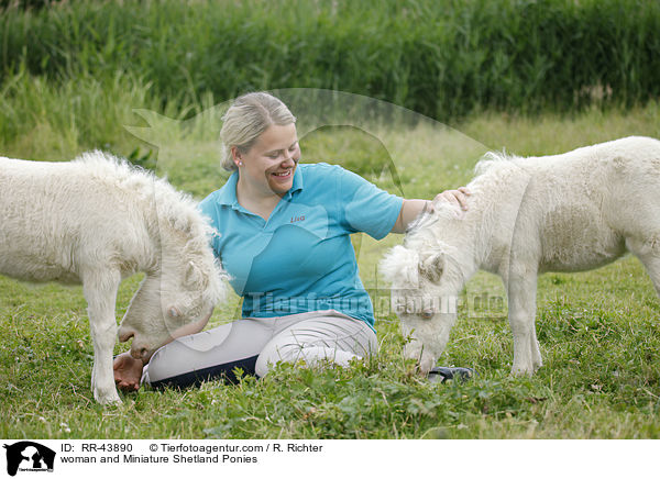 Frau und Mini Shetland Ponies / woman and Miniature Shetland Ponies / RR-43890