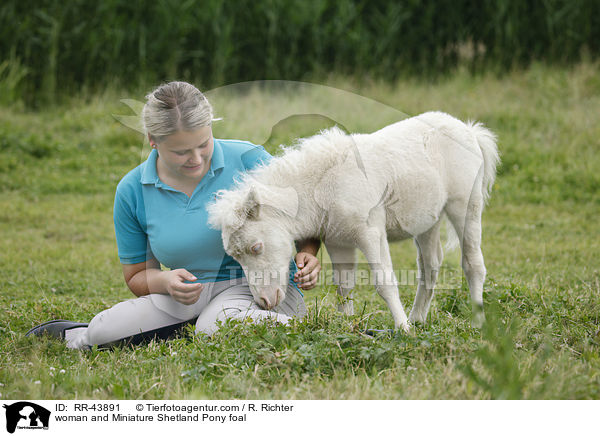 Frau und Mini Shetland Pony Fohlen / woman and Miniature Shetland Pony foal / RR-43891