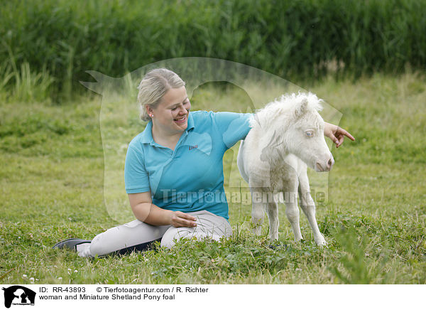 Frau und Mini Shetland Pony Fohlen / woman and Miniature Shetland Pony foal / RR-43893