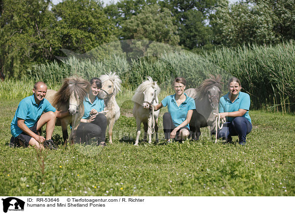 Menschen und Mini Shetland Ponies / humans and Mini Shetland Ponies / RR-53646