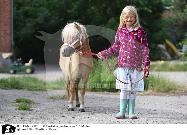girl and Mini Shetland Pony / PM-06601