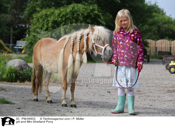 girl and Mini Shetland Pony / PM-06602