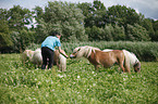 woman and Mini Shetland Ponies