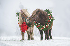 2 Mini Shetland Ponies