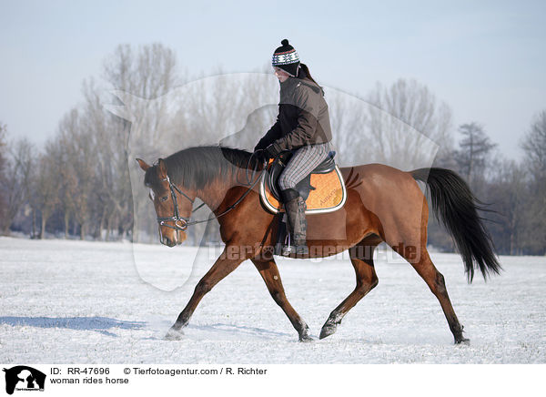 Frau reitet Araber-Mix / woman rides horse / RR-47696