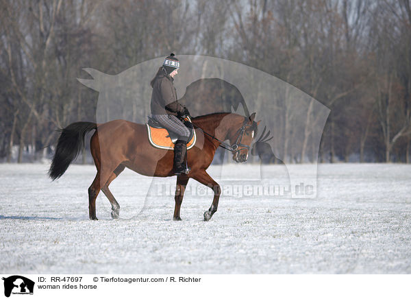 Frau reitet Araber-Mix / woman rides horse / RR-47697