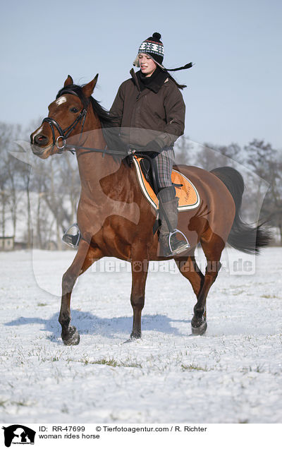 Frau reitet Araber-Mix / woman rides horse / RR-47699