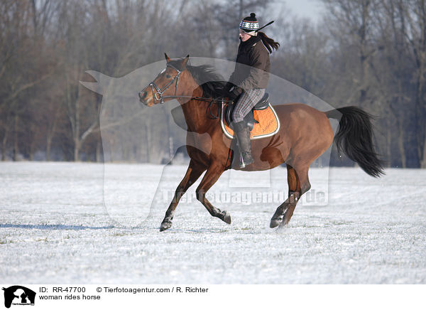 Frau reitet Araber-Mix / woman rides horse / RR-47700