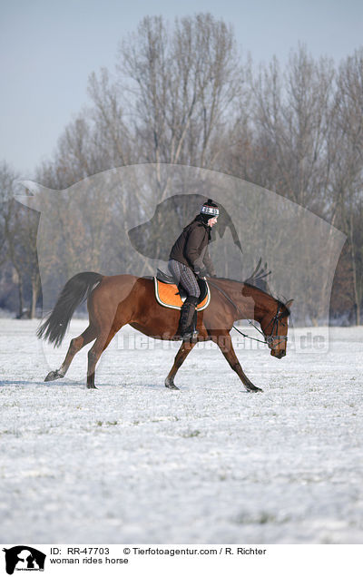 Frau reitet Araber-Mix / woman rides horse / RR-47703
