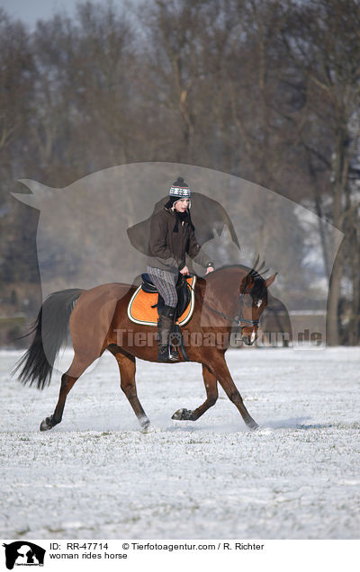 Frau reitet Araber-Mix / woman rides horse / RR-47714