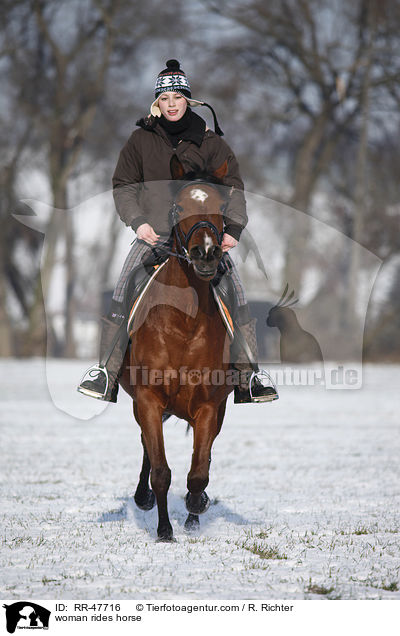 Frau reitet Araber-Mix / woman rides horse / RR-47716