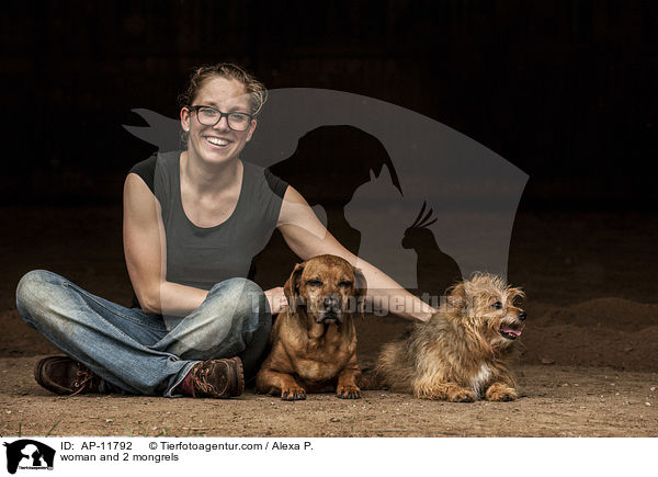 Frau und 2 Mischlinge / woman and 2 mongrels / AP-11792