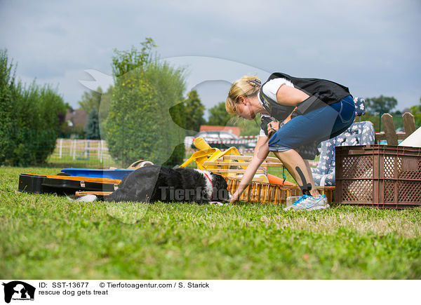 Rettungshund wird belohnt / rescue dog gets treat / SST-13677