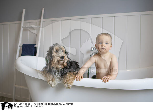 Hund und Kind in Badewanne / Dog and child in bathtub / JM-18688