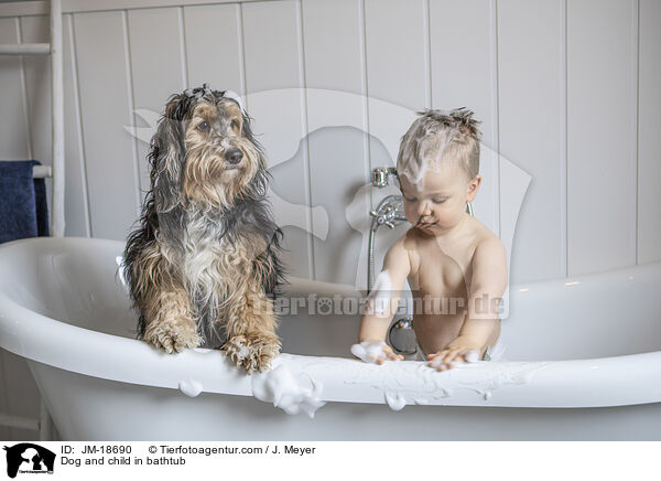 Hund und Kind in Badewanne / Dog and child in bathtub / JM-18690