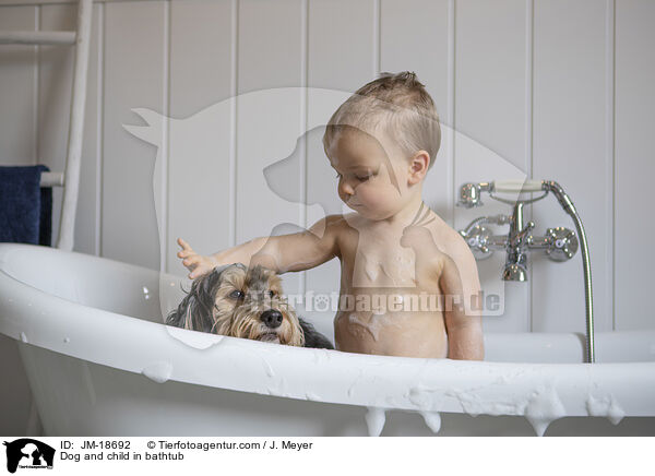 Hund und Kind in Badewanne / Dog and child in bathtub / JM-18692