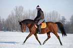 woman rides horse