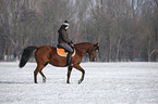 woman rides horse