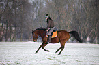 woman rides horse