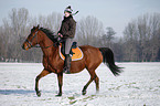 woman rides horse