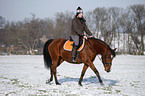 woman rides horse