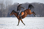 woman rides horse