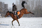 woman rides horse