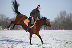 woman rides horse