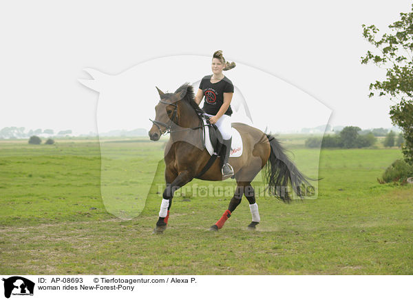 woman rides New-Forest-Pony / AP-08693