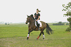 woman rides New-Forest-Pony