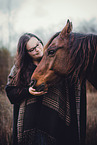 New Forest Pony gelding