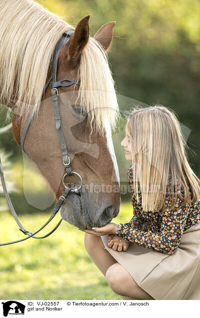 Mdchen und Noriker / girl and Noriker / VJ-02557