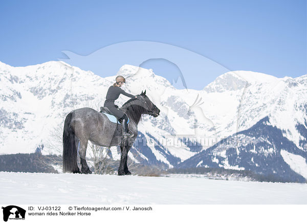 Frau reitet Noriker / woman rides Noriker Horse / VJ-03122