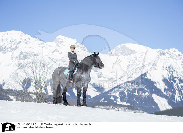 Frau reitet Noriker / woman rides Noriker Horse / VJ-03125
