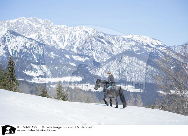 Frau reitet Noriker / woman rides Noriker Horse / VJ-03129