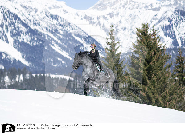 woman rides Noriker Horse / VJ-03130