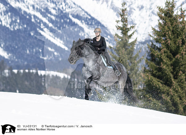 Frau reitet Noriker / woman rides Noriker Horse / VJ-03131